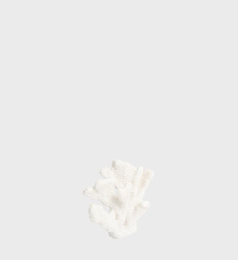0001_Coral-Ear.png