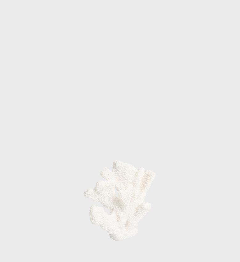 0001_Coral-Ear.png
