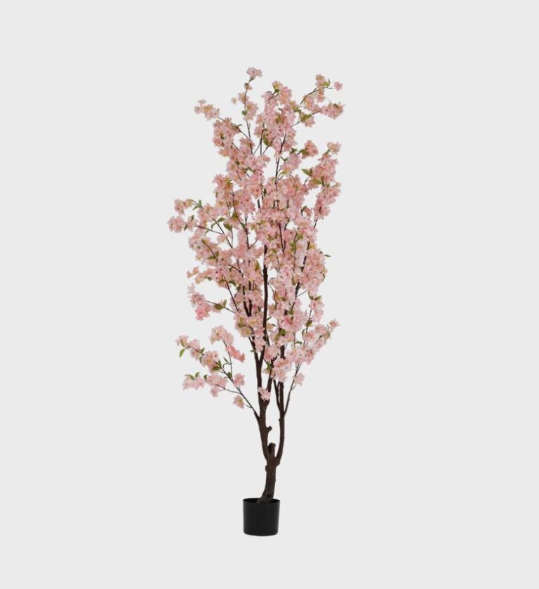 Blossom-Pink-Large-Tree