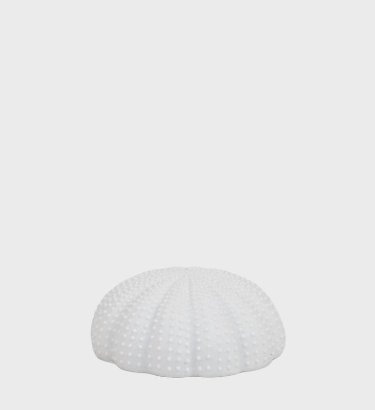 Coral-Urchin-Decoration-Small-Copy