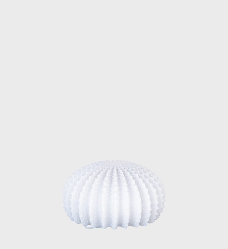 JVB_0000_DSCF1651
