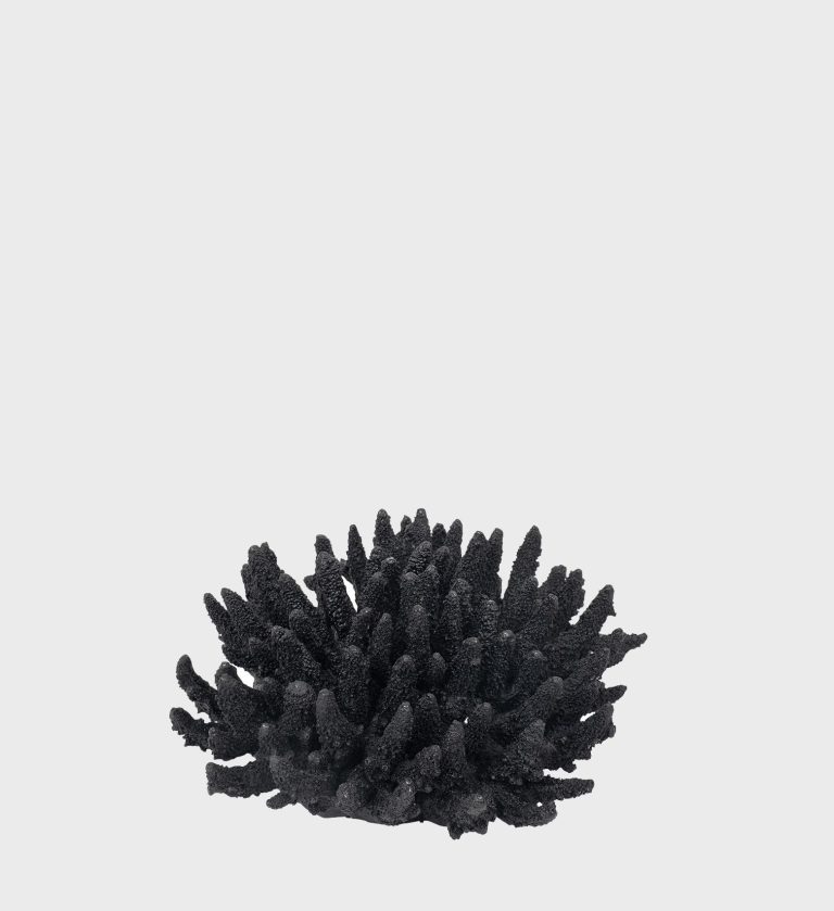 JVB_0021_Coral-Black.jpg