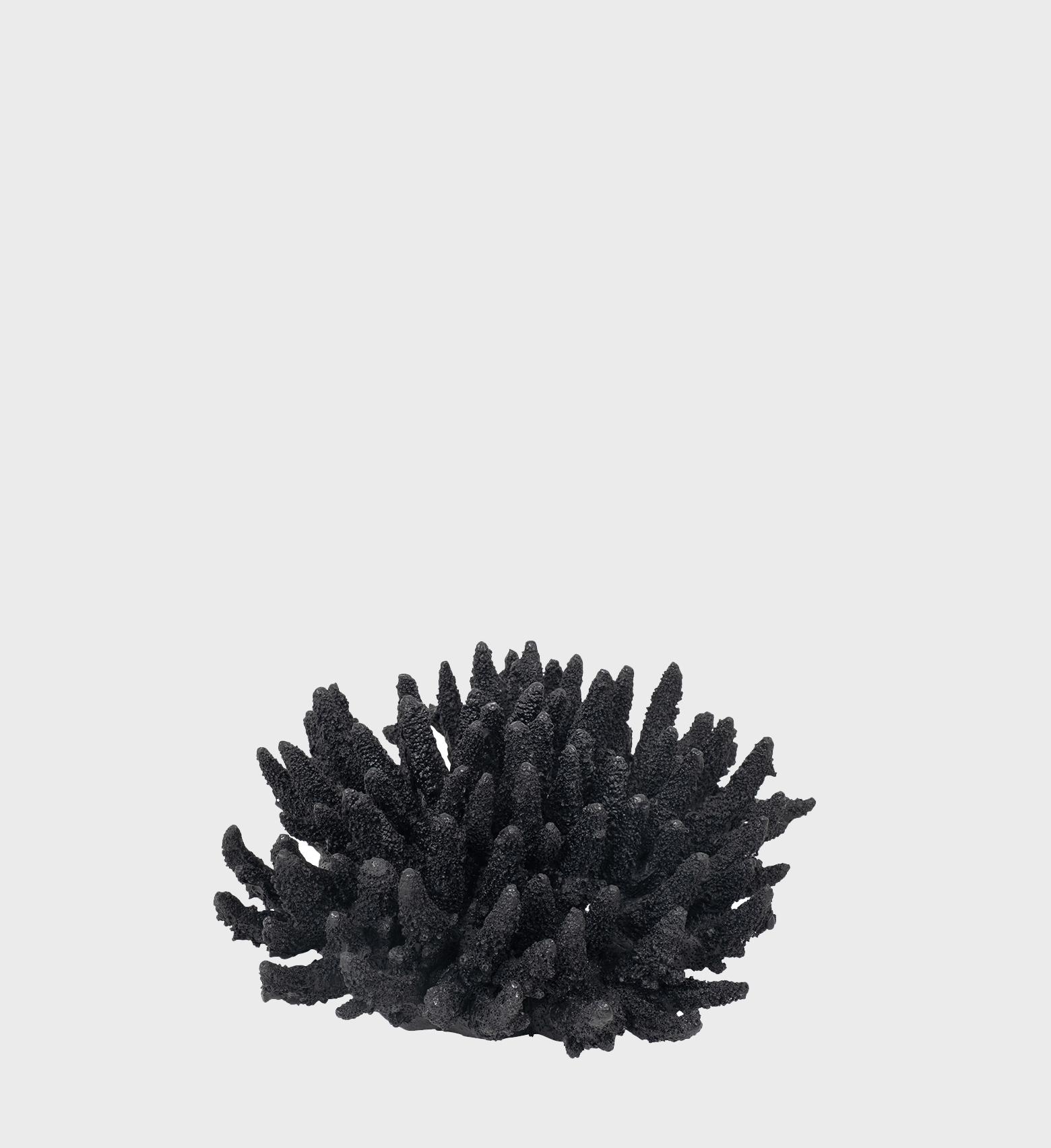 JVB_0021_Coral-Black.jpg