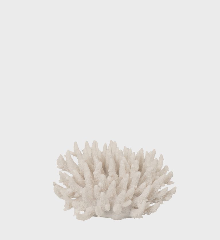JVB_0032_Coral-White.jpg